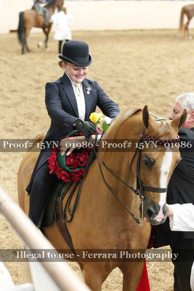 Proof 15YN_01986