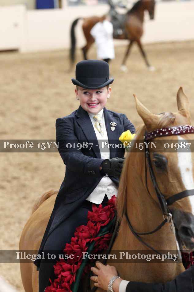 Proof 15YN_01987