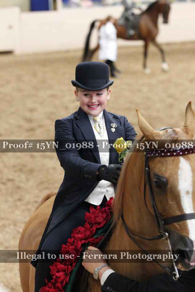 Proof 15YN_01988