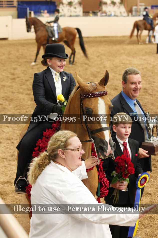 Proof 15YN_01995