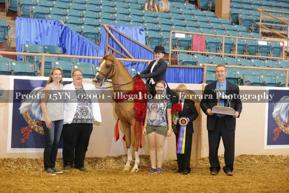 Proof 15YN_02001