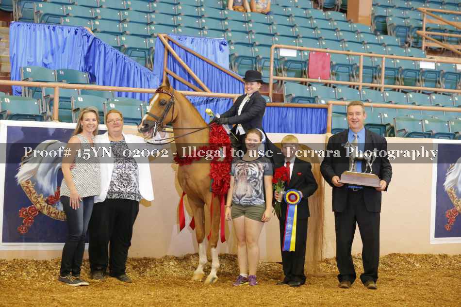 Proof 15YN_02002