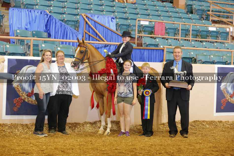 Proof 15YN_02003