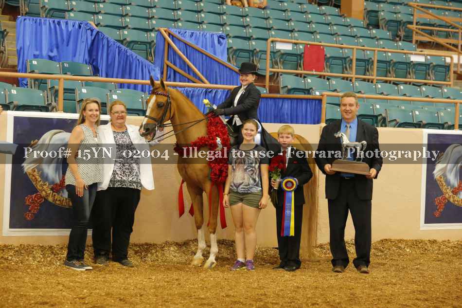 Proof 15YN_02004