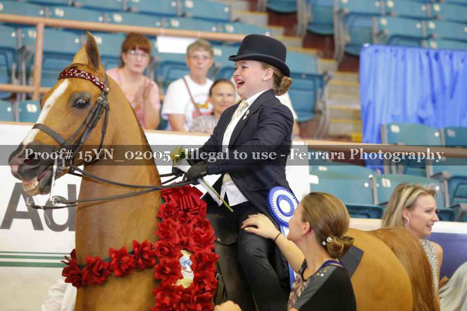 Proof 15YN_02005