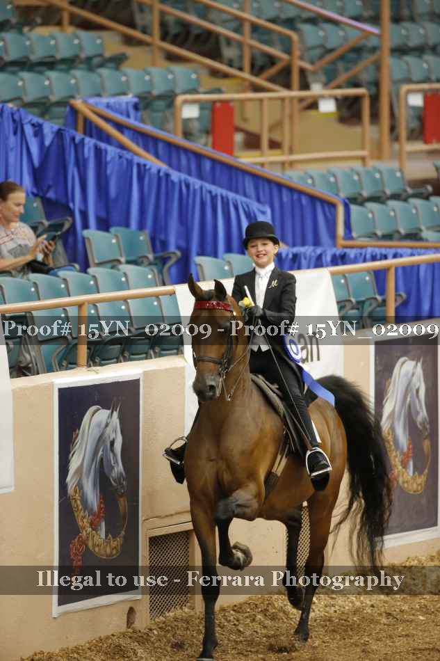Proof 15YN_02009