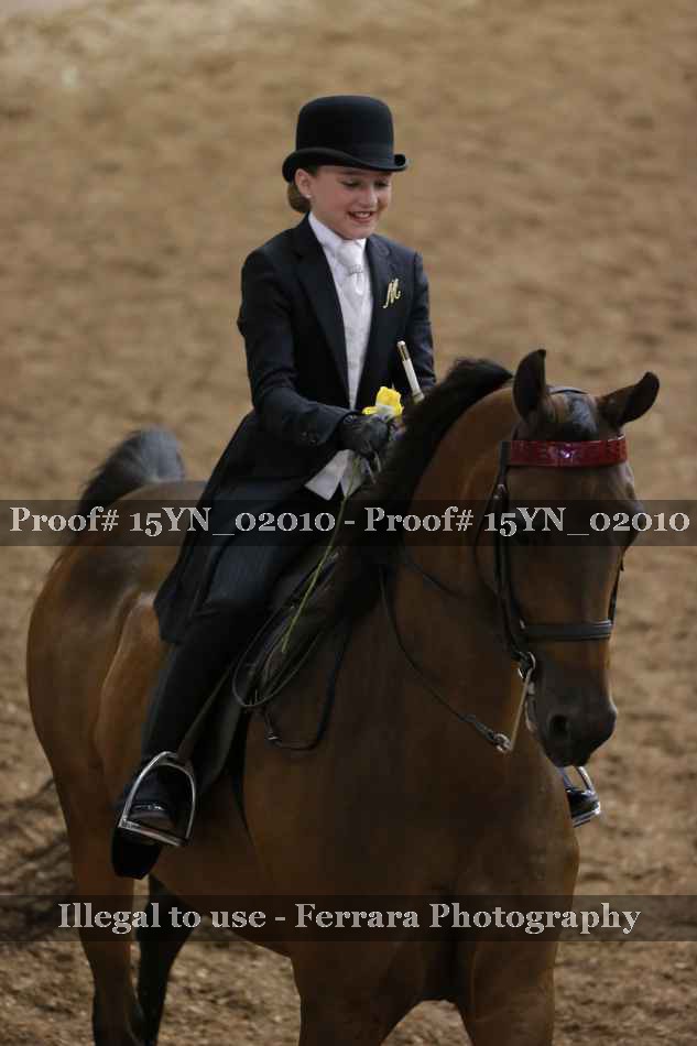 Proof 15YN_02010