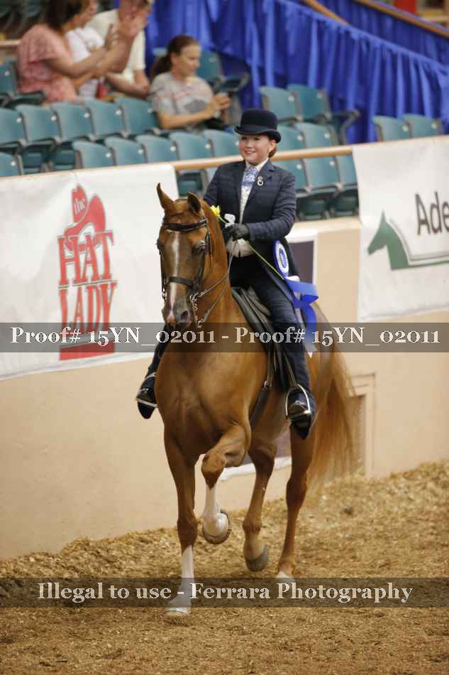 Proof 15YN_02011