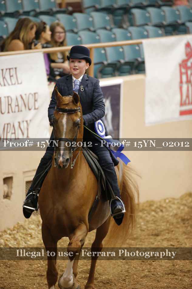 Proof 15YN_02012