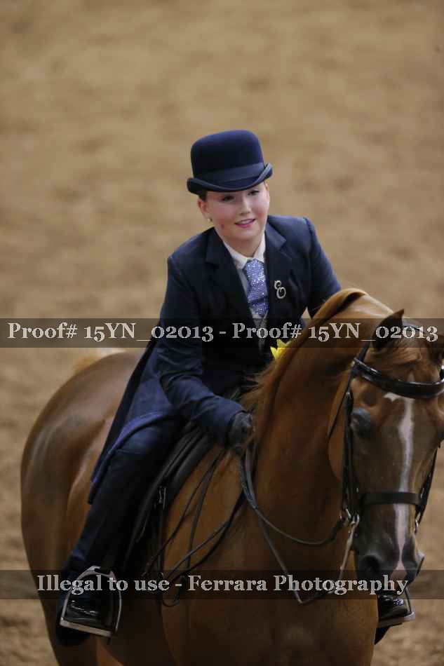 Proof 15YN_02013