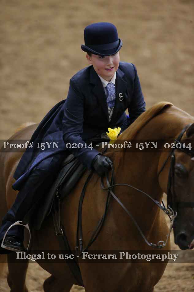 Proof 15YN_02014