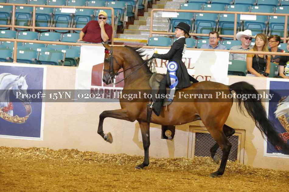 Proof 15YN_02021