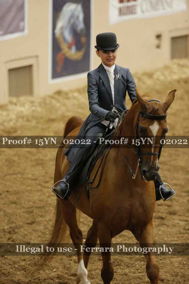 Proof 15YN_02022
