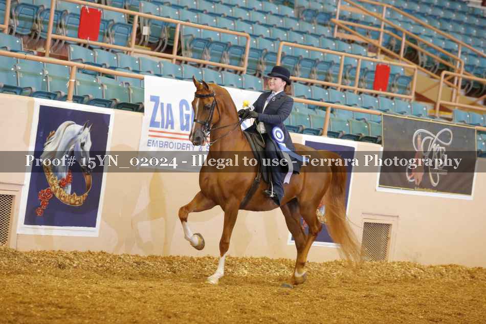 Proof 15YN_02024