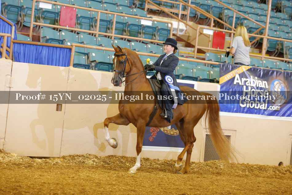 Proof 15YN_02025