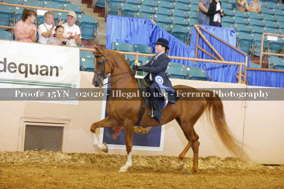 Proof 15YN_02026