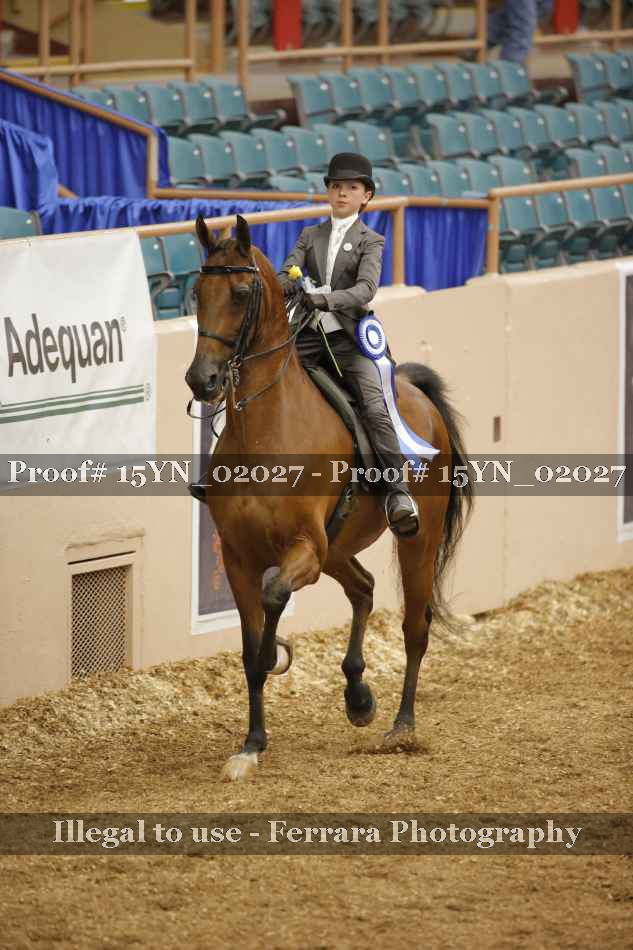 Proof 15YN_02027