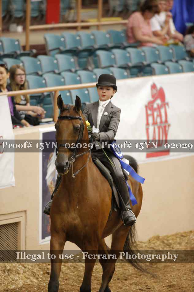 Proof 15YN_02029