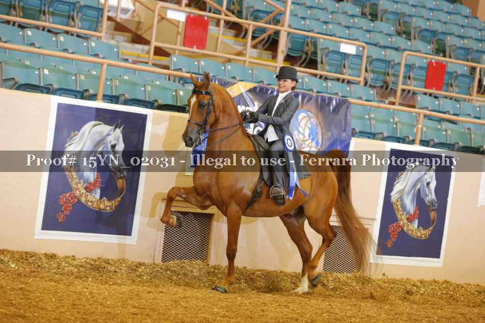 Proof 15YN_02031
