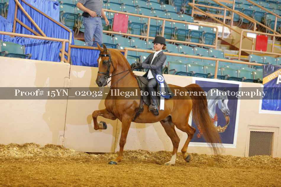 Proof 15YN_02032