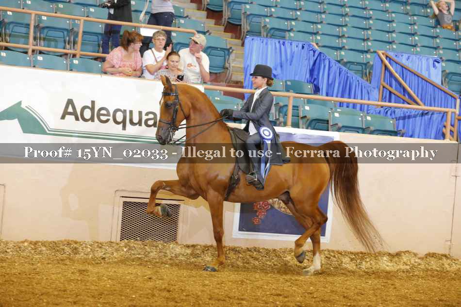 Proof 15YN_02033