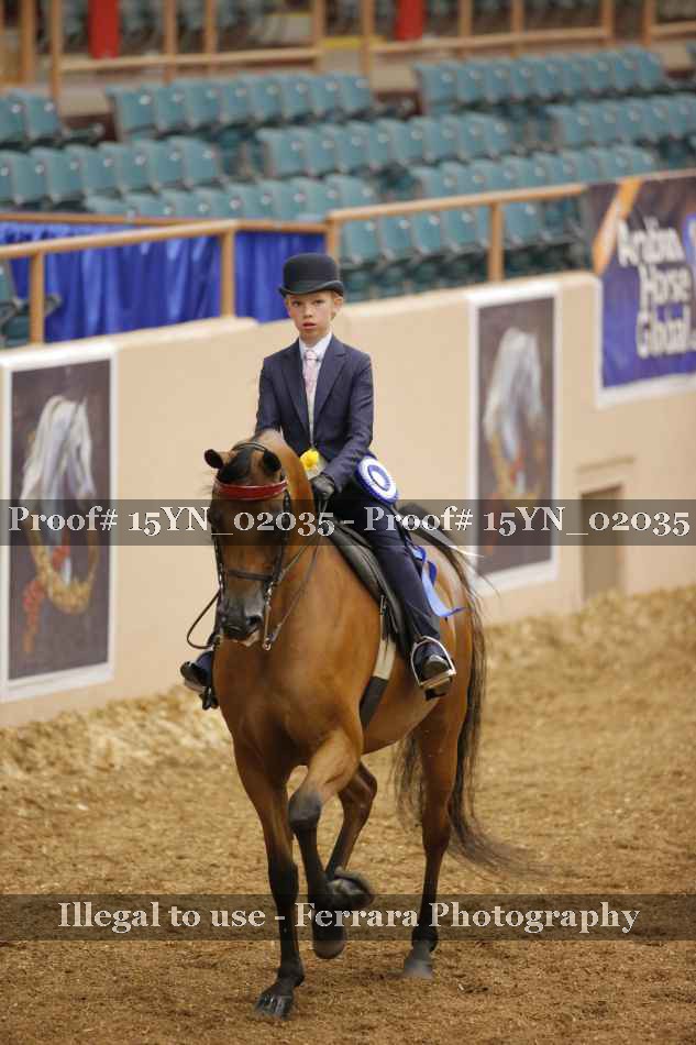 Proof 15YN_02035