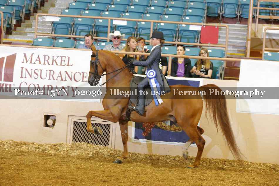 Proof 15YN_02036