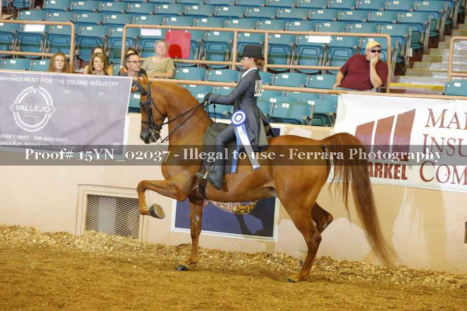 Proof 15YN_02037