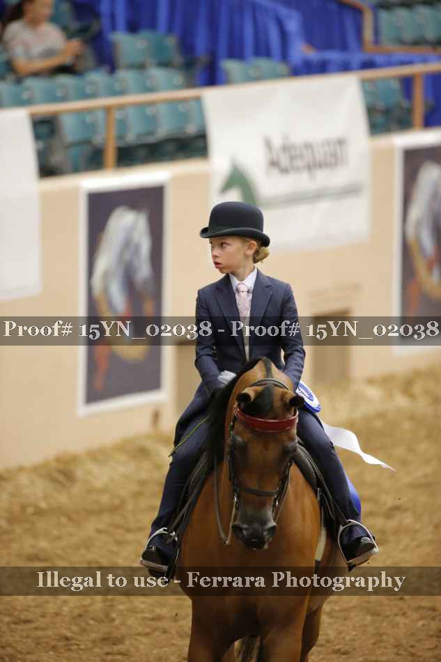 Proof 15YN_02038