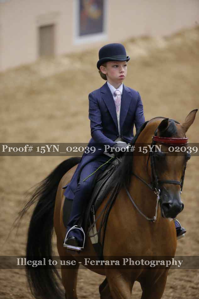 Proof 15YN_02039