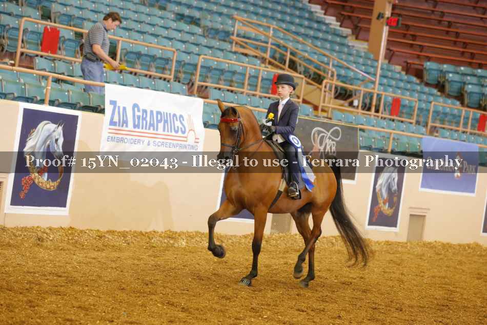 Proof 15YN_02043