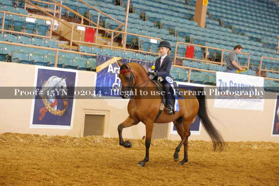 Proof 15YN_02044