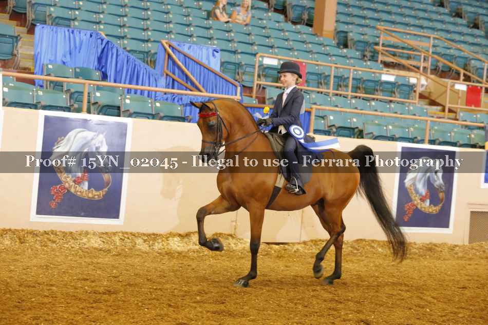 Proof 15YN_02045