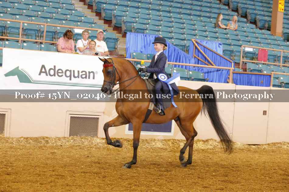 Proof 15YN_02046