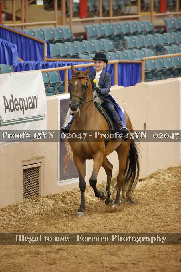 Proof 15YN_02047