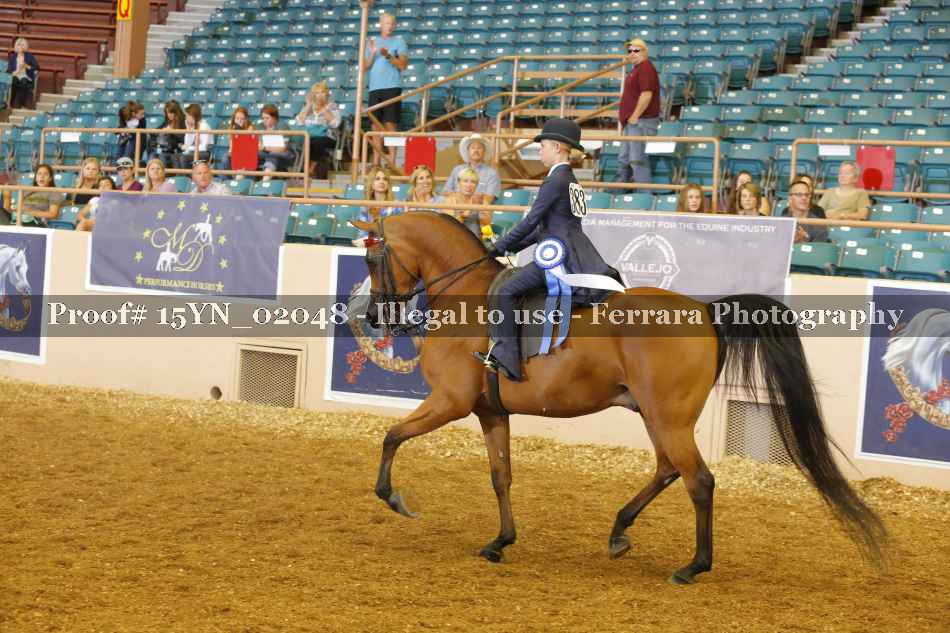 Proof 15YN_02048
