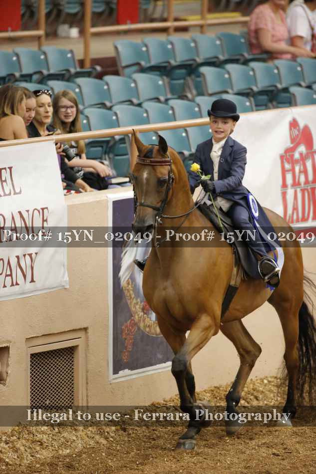 Proof 15YN_02049
