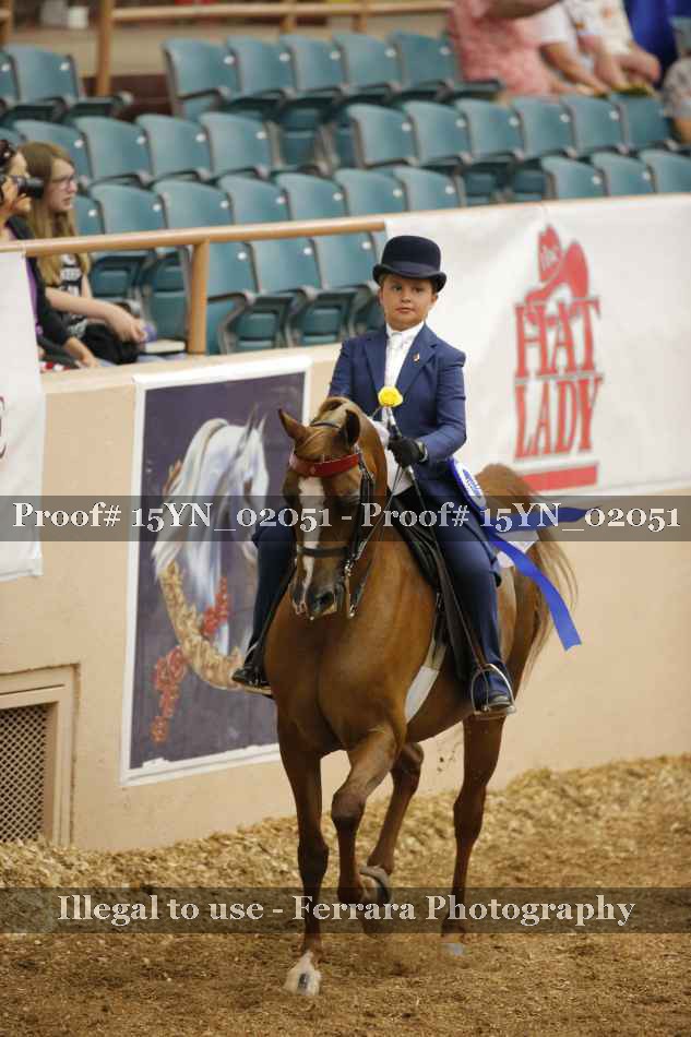 Proof 15YN_02051