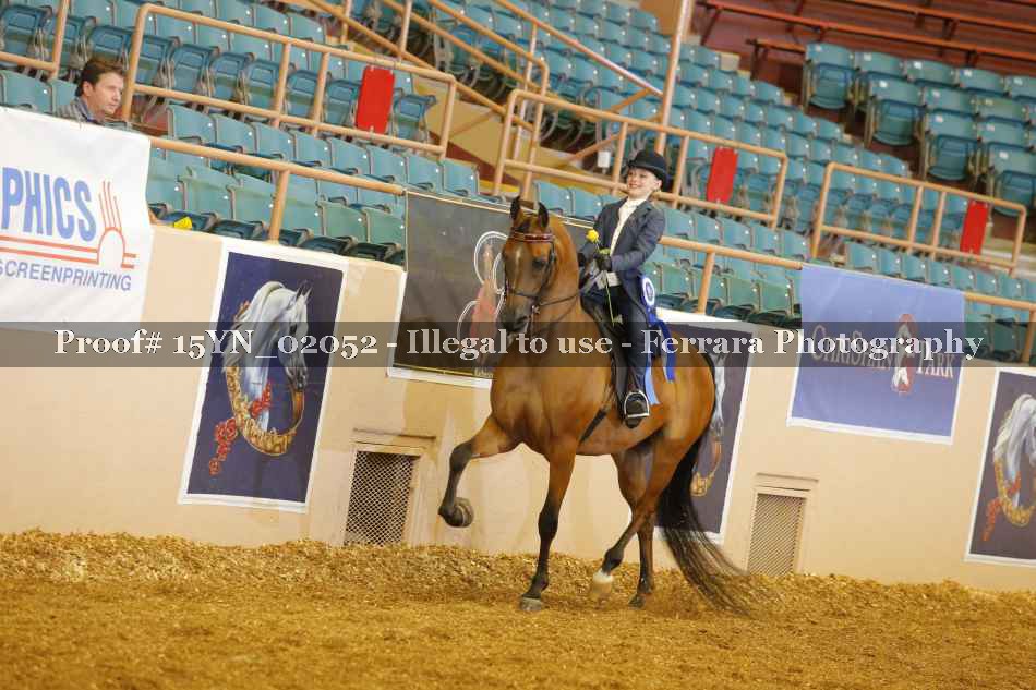 Proof 15YN_02052