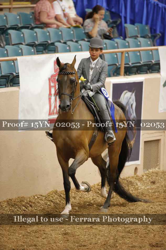 Proof 15YN_02053