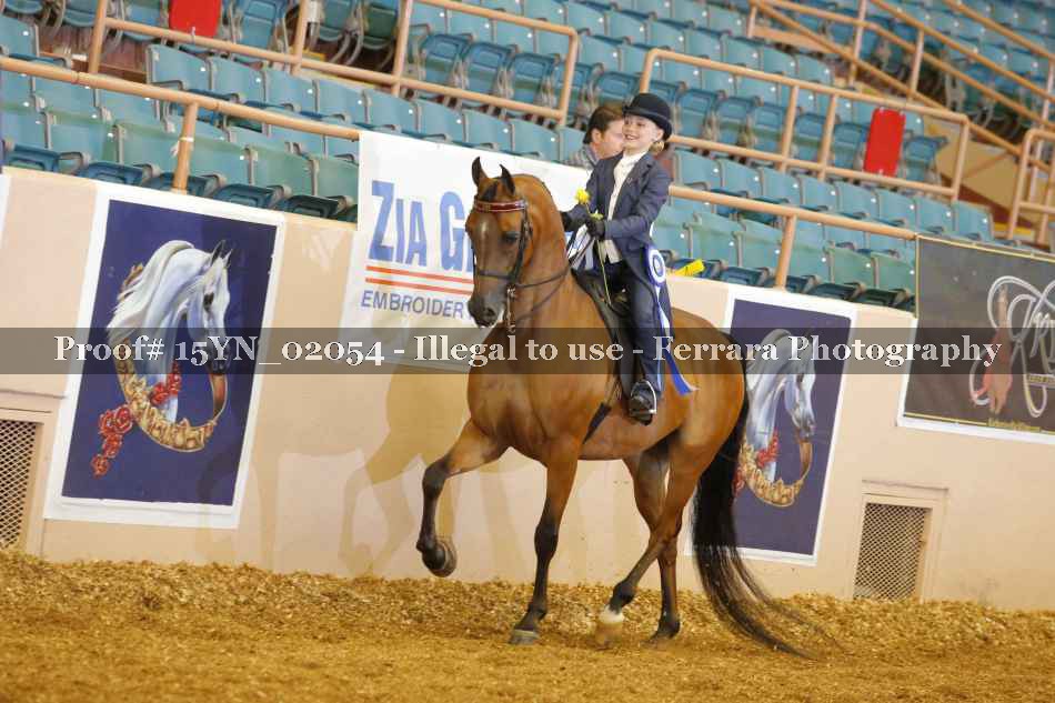 Proof 15YN_02054