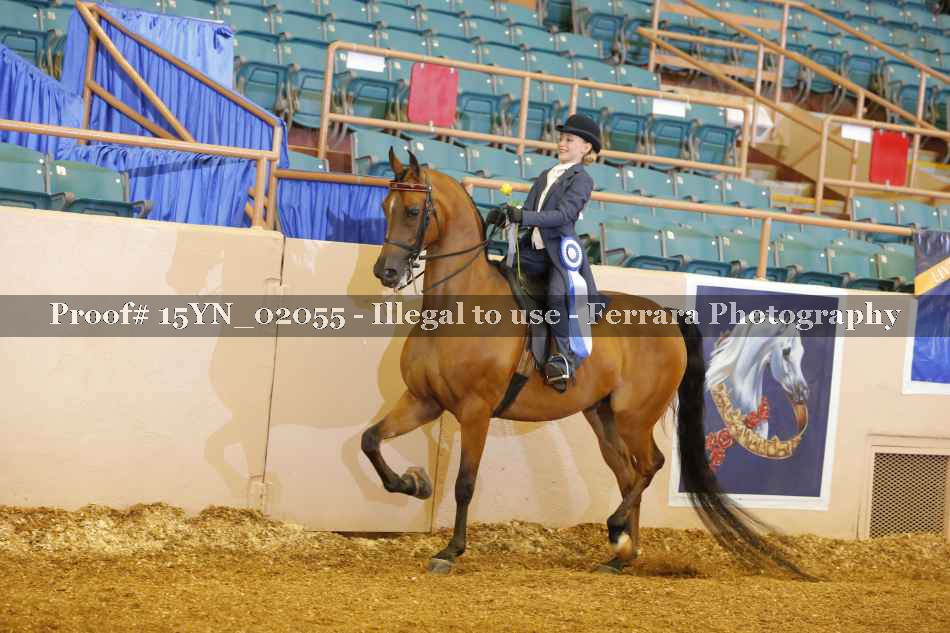 Proof 15YN_02055