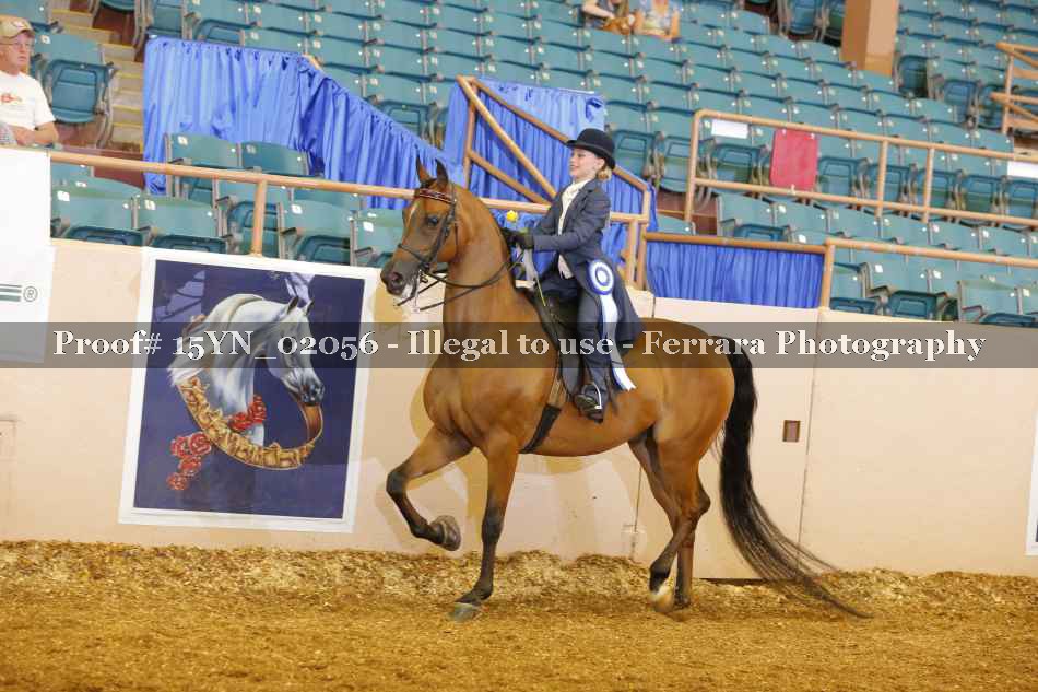 Proof 15YN_02056