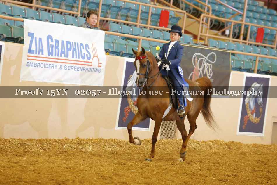 Proof 15YN_02057