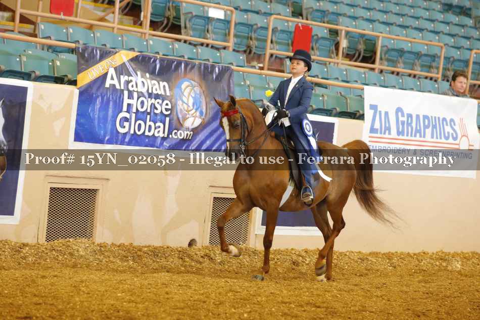 Proof 15YN_02058