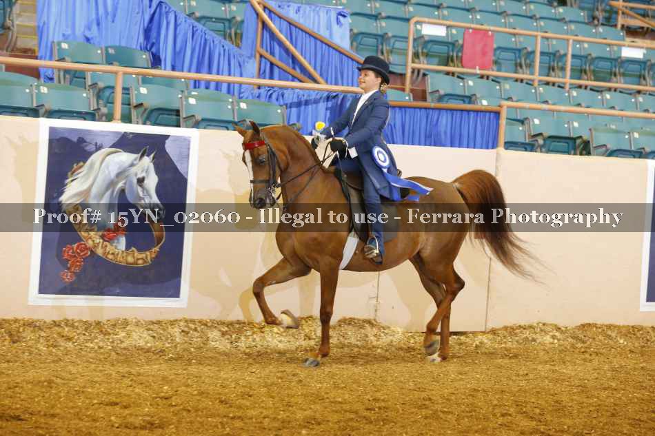 Proof 15YN_02060