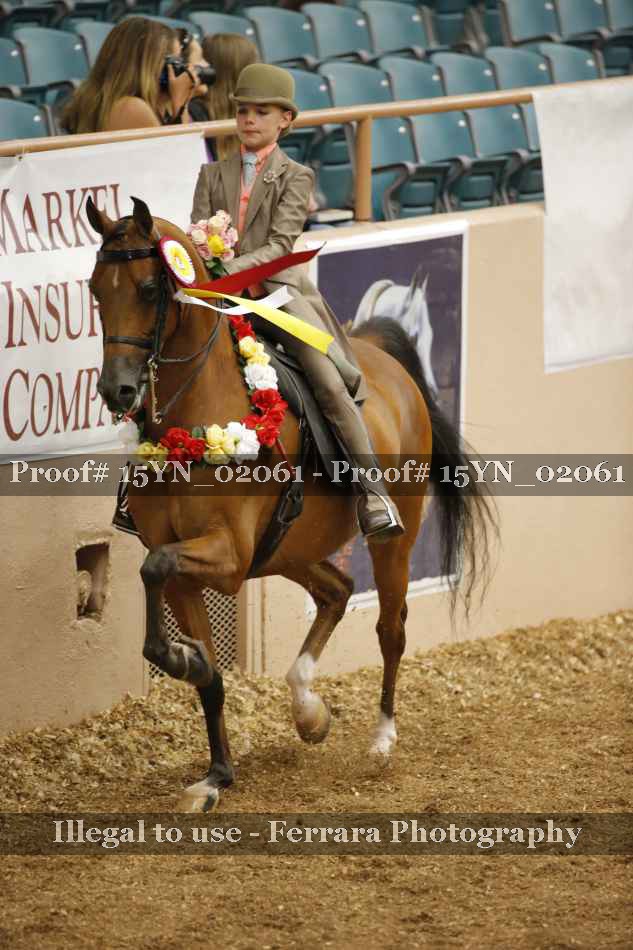 Proof 15YN_02061