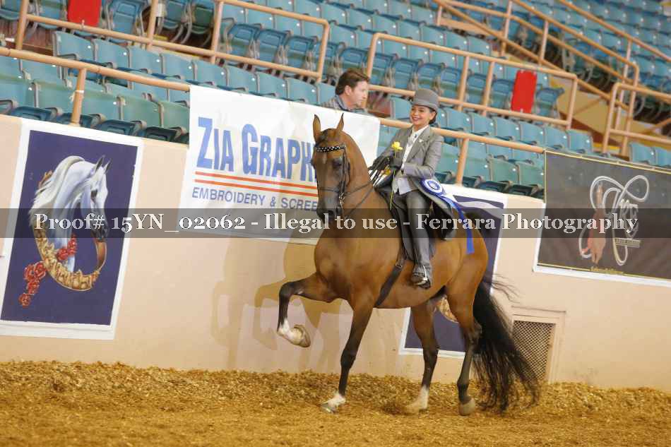 Proof 15YN_02062