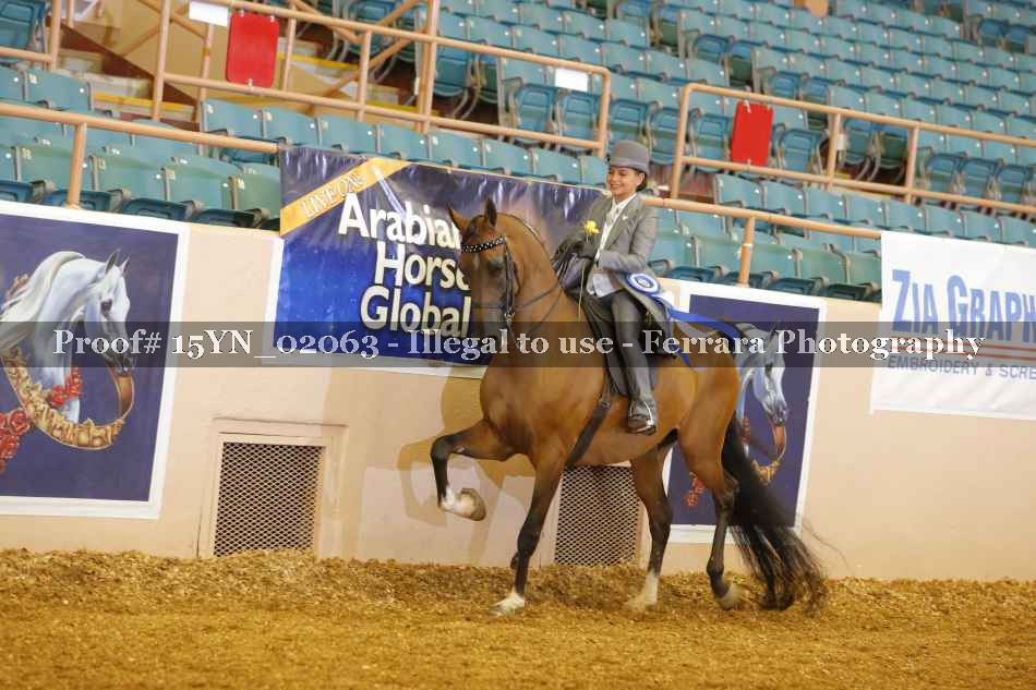 Proof 15YN_02063