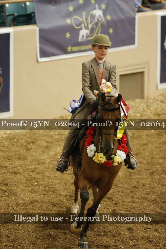 Proof 15YN_02064